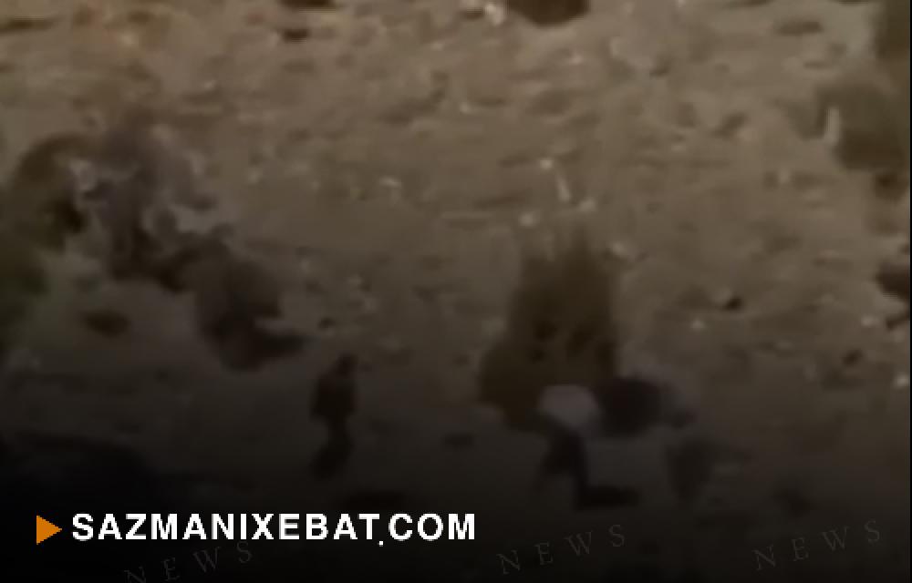 جینایەتى بەردەوامی ڕێژیم لە کوردستان؛ کوشتنی سیستماتیکی کۆڵبەران بەردەوامە